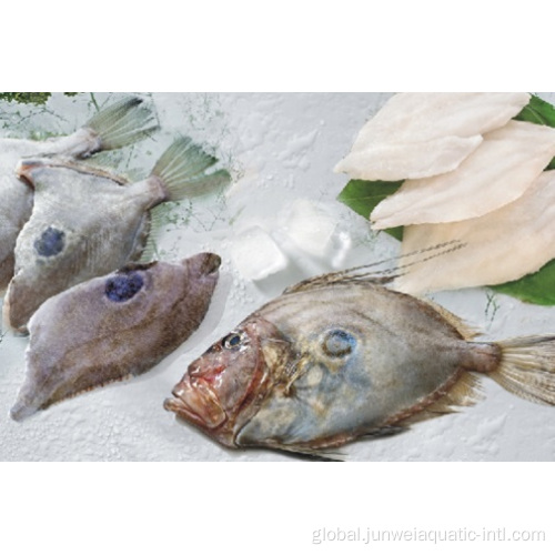 China Fresh frozen John Dory Manufactory